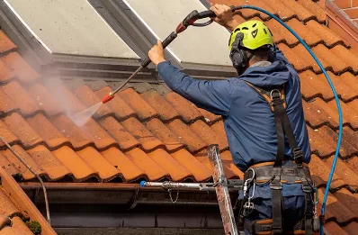 Démoussage et hydrofuge de toiture à l'Abergement-de-Varey